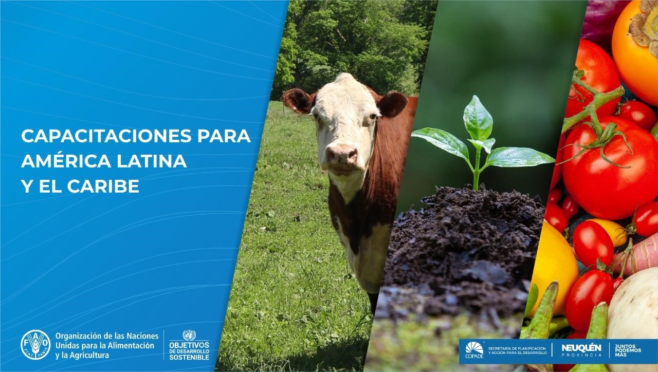Cursos de la FAO para América Latina y el Caribe